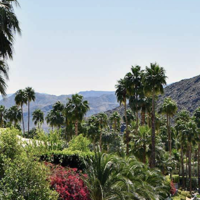 Rancho Las Palmas